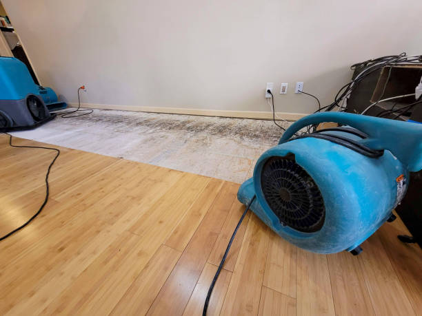 Professional Burst Pipe Water Damage technician working in Baileyville, IL